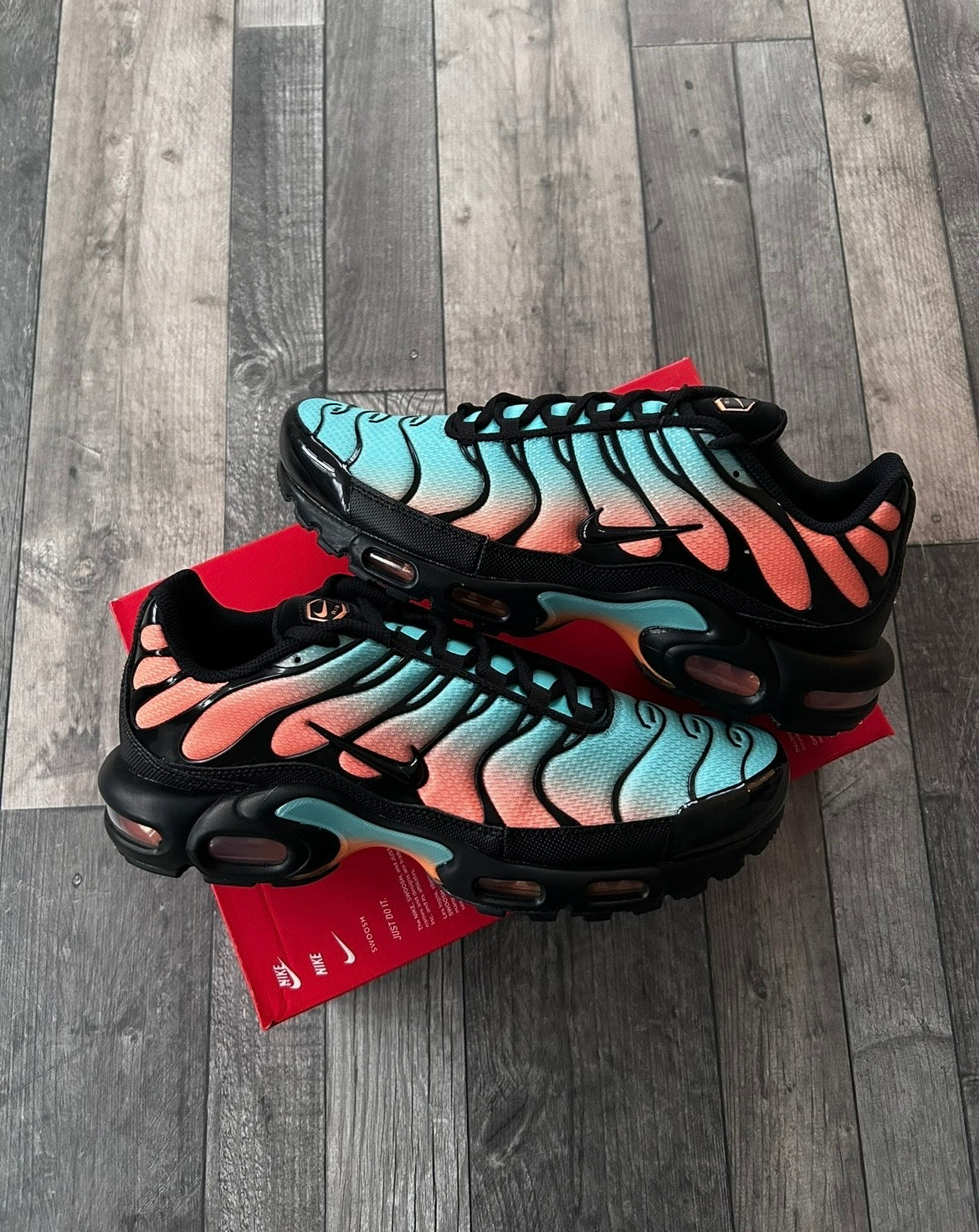 Nike Air Max Plus TN 'South Beach' – LUX CLOBBER