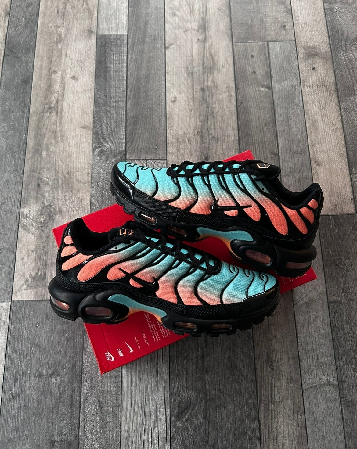 Nike Air Max Plus TN ‘South Beach’