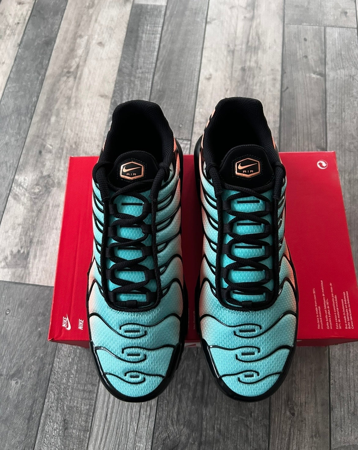 Nike Air Max Plus TN ‘South Beach’