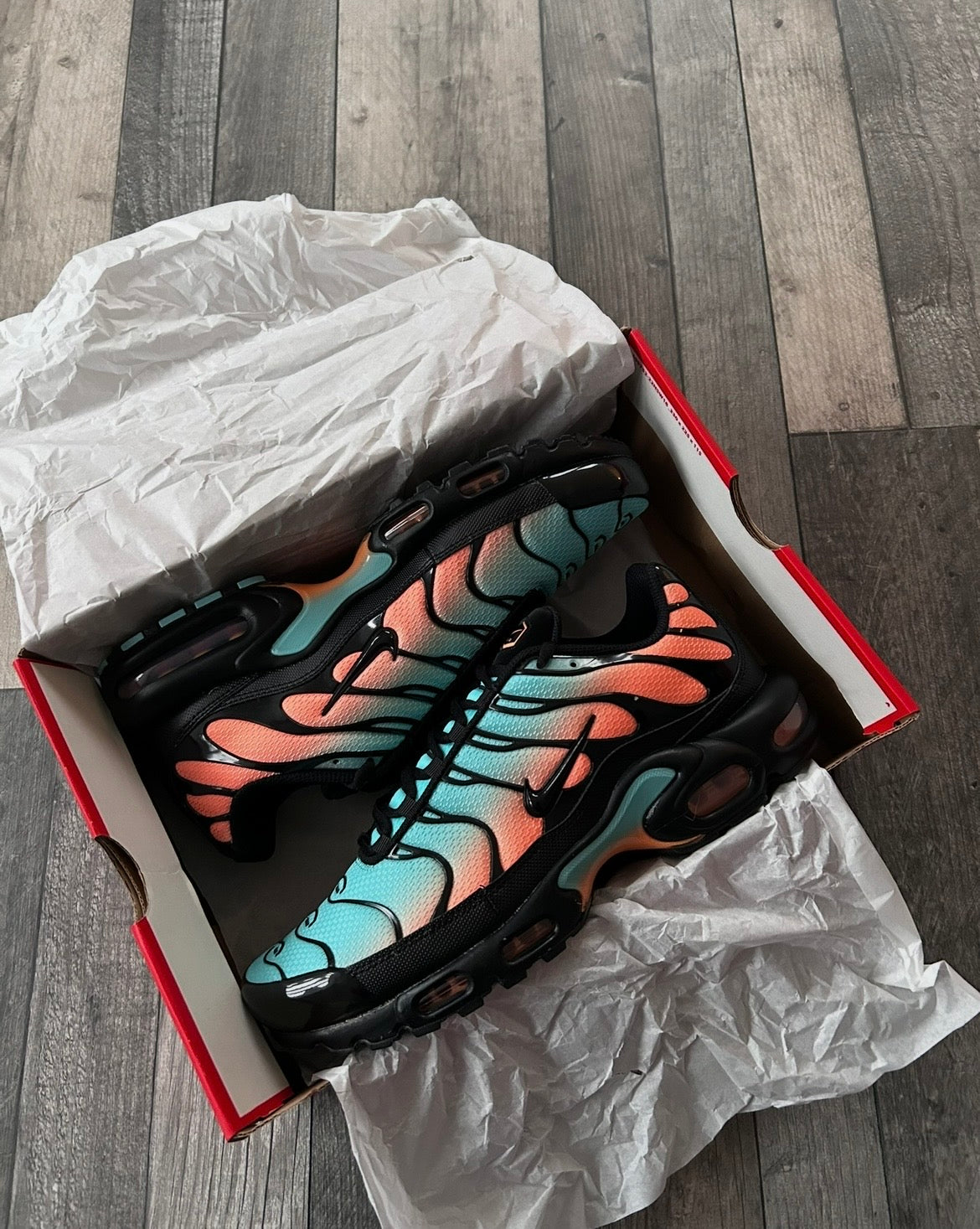 Nike Air Max Plus TN ‘South Beach’